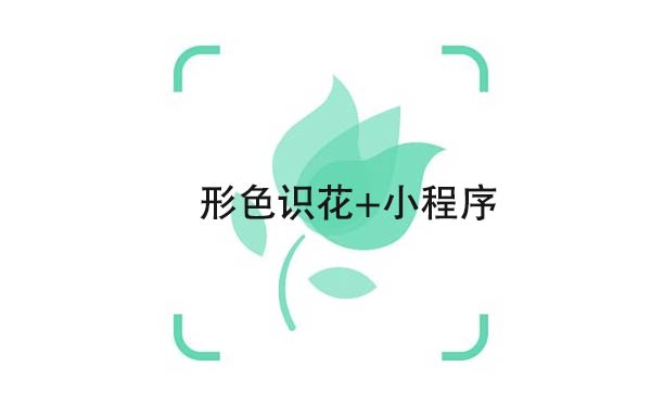 形色識(shí)花+小程序,實(shí)用的花草識(shí)別_工具小程序測(cè)評(píng)