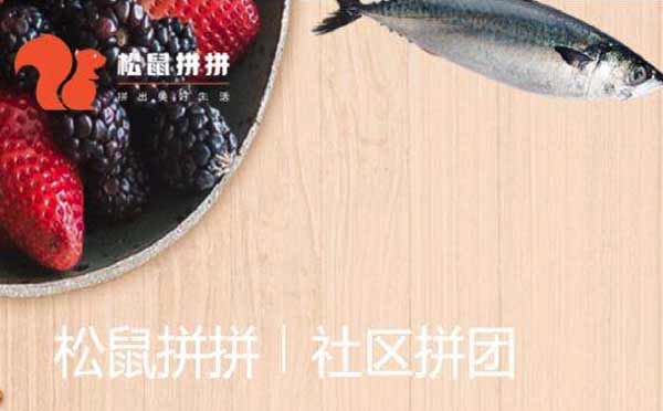 社區(qū)團(tuán)購(gòu)平臺(tái)松鼠拼拼獲3000萬(wàn)美元A輪融資