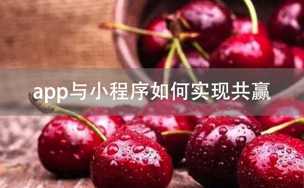 app開(kāi)發(fā)與小程序開(kāi)發(fā)如何實(shí)現(xiàn)共贏？