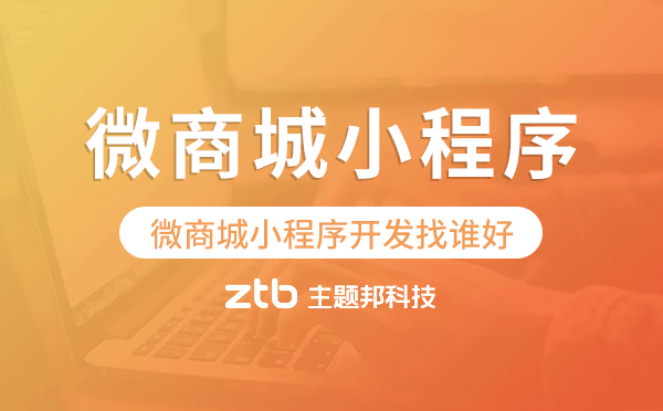 微商城小程序開發(fā)找誰好-主題邦科技
