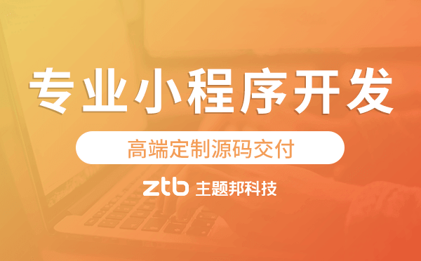 專業(yè)小程序開(kāi)發(fā)-主題邦科技.png