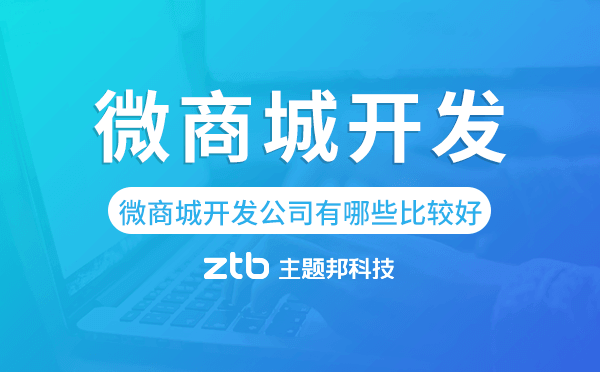 微商城開發(fā)公司有哪些比較好的.png